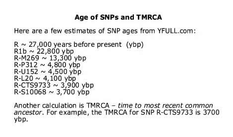 Table: Age of SNPs