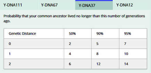 YDNA-37 Probability