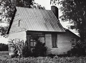 Photo of Lesser Dabney House