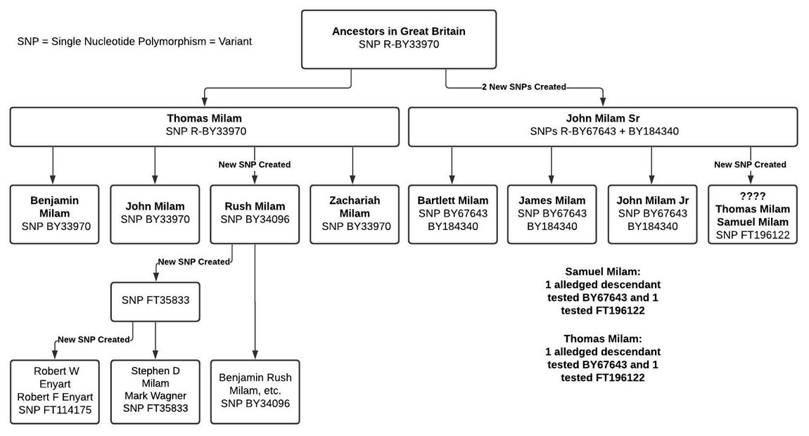 Milam Genetic Genealogy Chart